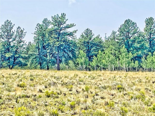 887 Superstition Trl, Hartsel, CO 80449 - photo 7