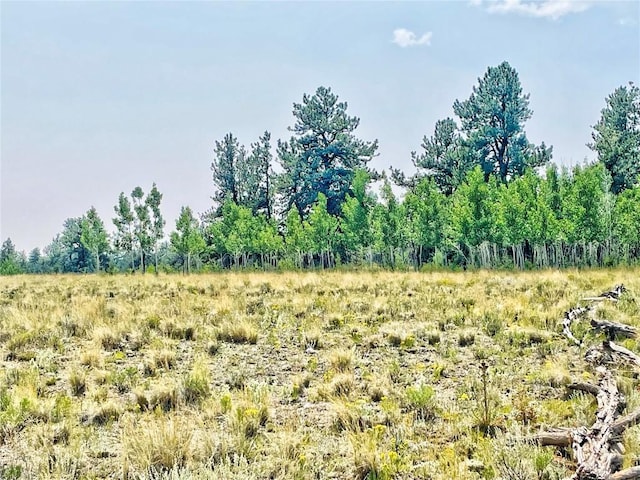 887 Superstition Trl, Hartsel, CO 80449 - photo 13