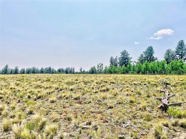 887 Superstition Trl, Hartsel, CO 80449 - photo 12