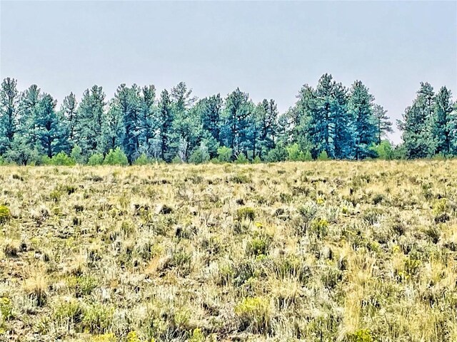 887 Superstition Trl, Hartsel, CO 80449 - photo 3
