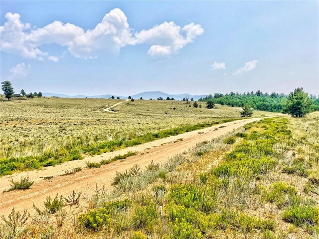 887 Superstition Trl, Hartsel, CO 80449 - photo 4