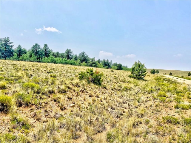 887 Superstition Trl, Hartsel, CO 80449 - photo 1