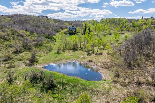 27145 Whitewood Dr E, Steamboat Springs, CO 80487 - bird's eye view of a nearby body of water and a forest