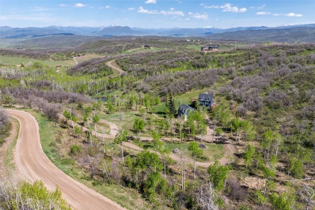 27145 Whitewood Dr E, Steamboat Springs, CO 80487 - bird's eye view of a mountain backdrop