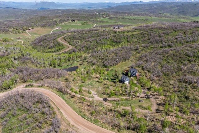 27145 Whitewood Dr E, Steamboat Springs, CO 80487 - aerial view of property's location with mountains and rural landscape