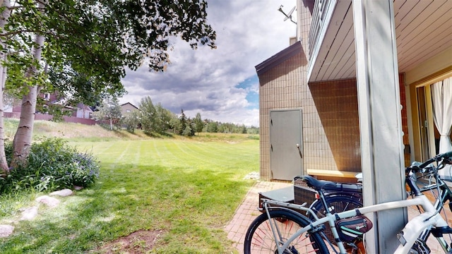 101 Blue Grouse Ln Unit D, Silverthorne, CO 80498 - view of green lawn