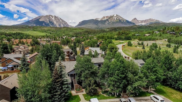 101 Blue Grouse Ln Unit D, Silverthorne, CO 80498 - view of mountain backdrop with nearby suburban area