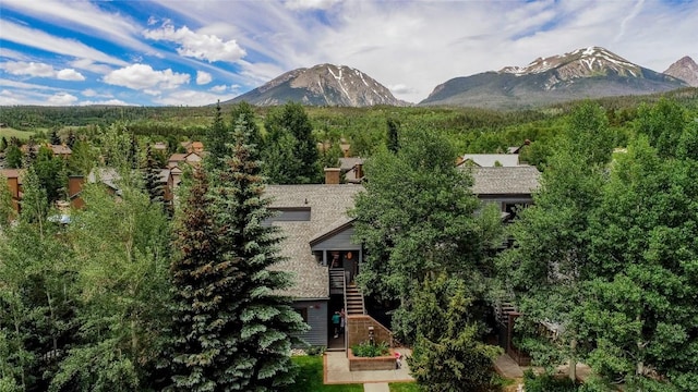 101 Blue Grouse Ln Unit D, Silverthorne, CO 80498 - mountain view