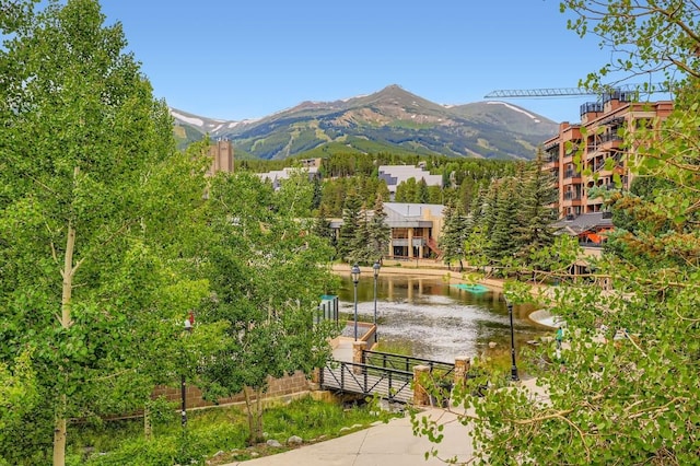 505 S Main St Unit 3308, Breckenridge, CO 80424 - photo 32