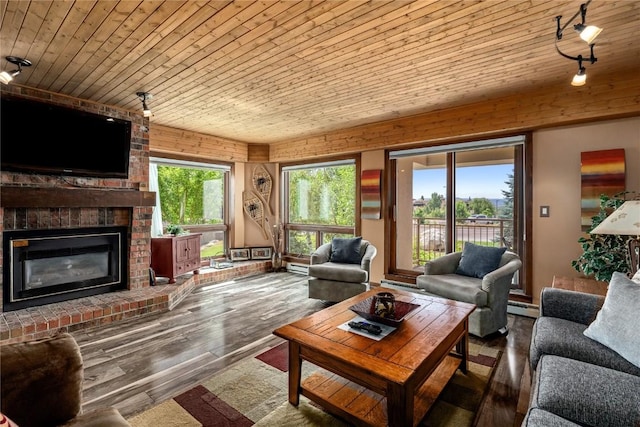 living room with a brick fireplace, wood ceiling, hardwood / wood-style floors, rail lighting, and a baseboard radiator