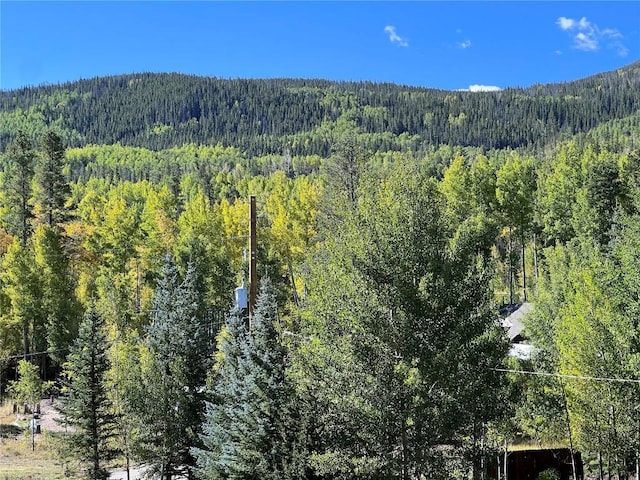 mountain view with a forest view