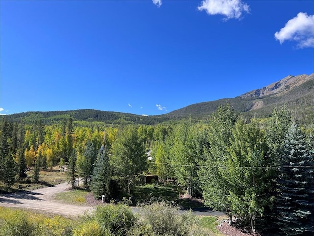 view of mountain feature with a wooded view