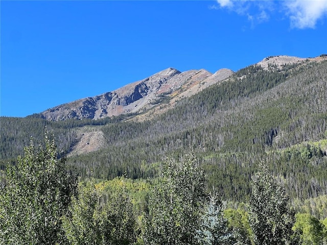 mountain view with a view of trees
