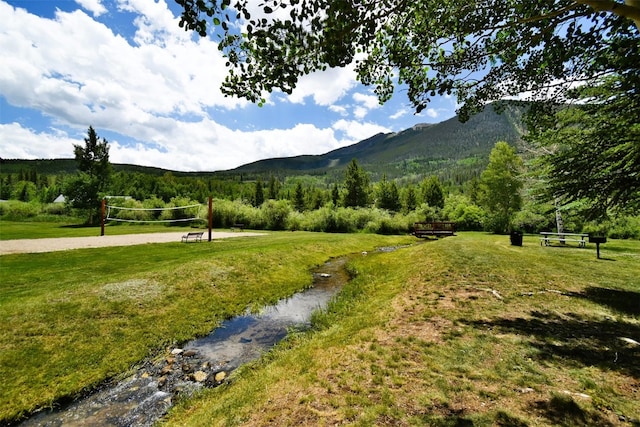 property view of mountains with a wooded view