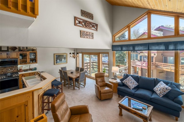 2838 Kitzbuhel Court ., Steamboat Springs, CO 80487 - photo 23