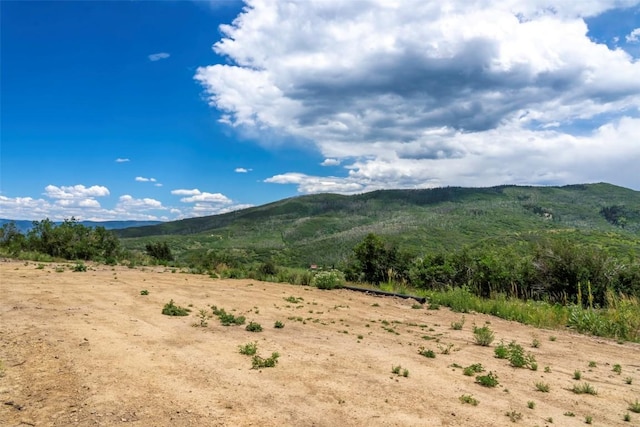 28900 County Road 179, Oak Creek, CO 80467 - photo 2