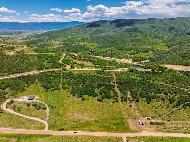 28900 County Road 179, Oak Creek, CO 80467 - photo 4