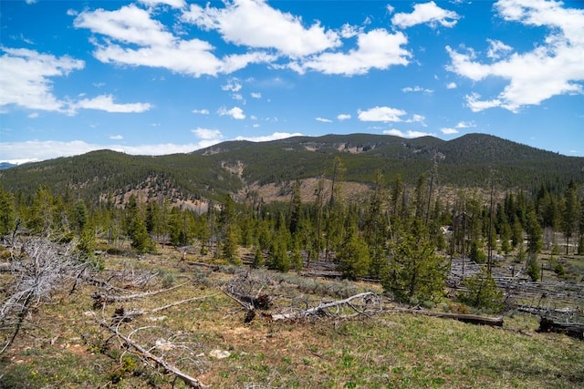 465 Gateway Dr, Breckenridge, CO 80424