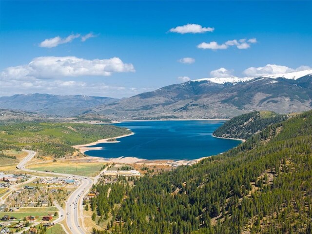 465 Gateway Dr, Breckenridge, CO 80424