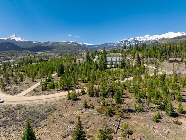 465 Gateway Dr, Breckenridge, CO 80424