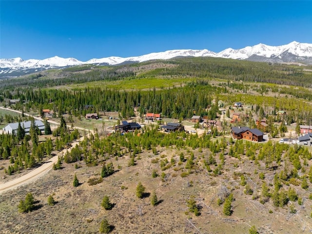 465 Gateway Dr, Breckenridge, CO 80424
