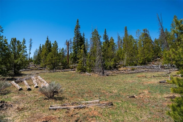 465 Gateway Dr, Breckenridge, CO 80424