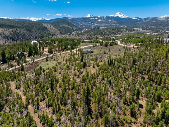465 Gateway Dr, Breckenridge, CO 80424