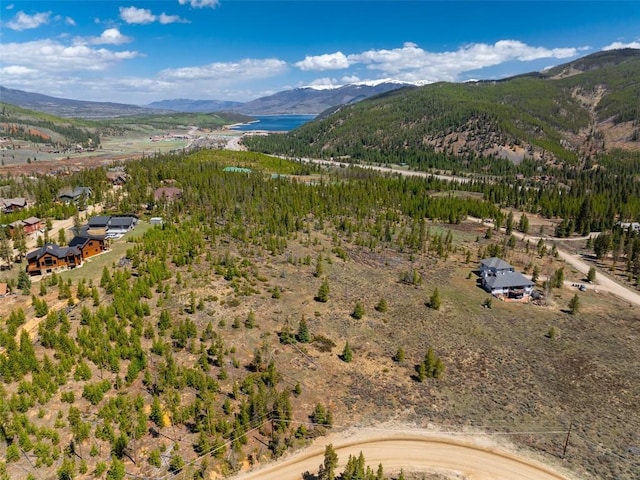 465 Gateway Dr, Breckenridge, CO 80424