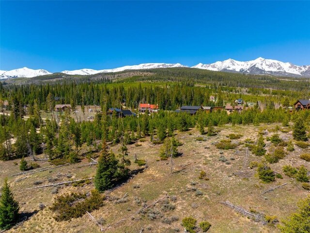 465 Gateway Dr, Breckenridge, CO 80424