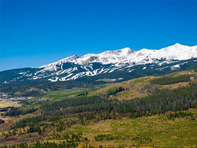 465 Gateway Dr, Breckenridge, CO 80424