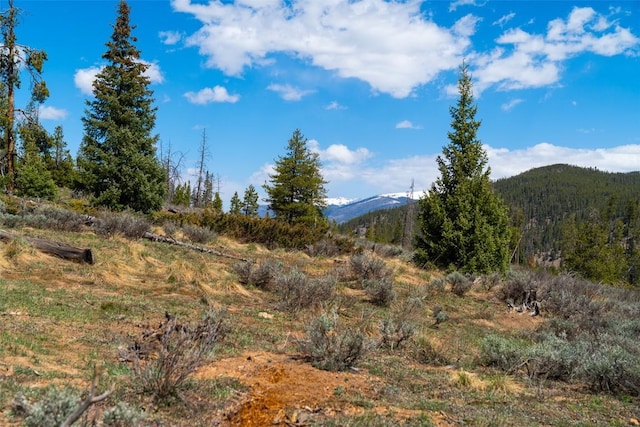 465 Gateway Dr, Breckenridge, CO 80424