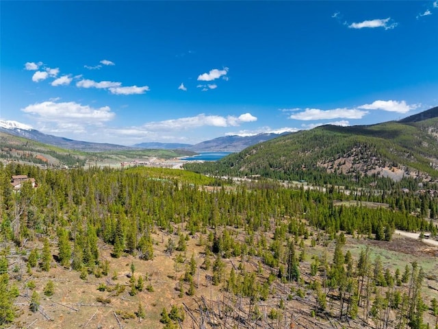 465 Gateway Dr, Breckenridge, CO 80424