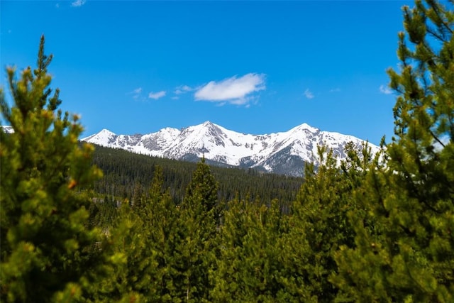 465 Gateway Dr, Breckenridge, CO 80424
