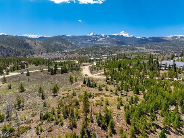 465 Gateway Dr, Breckenridge, CO 80424