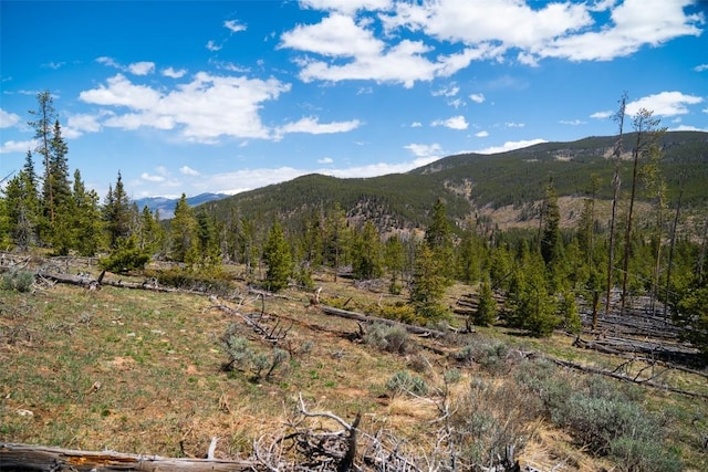 465 Gateway Dr, Breckenridge, CO 80424