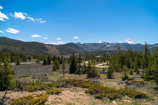 465 Gateway Dr, Breckenridge, CO 80424