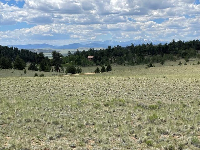 853 La Plata Dr, Hartsel, CO 80449 - photo 1