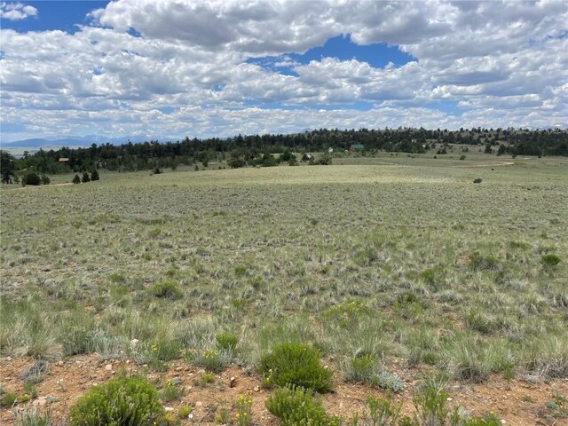853 La Plata Dr, Hartsel, CO 80449 - photo 5