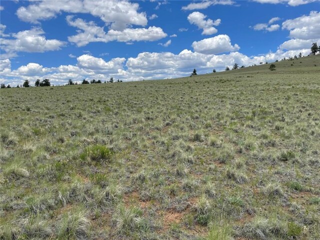 853 La Plata Dr, Hartsel, CO 80449 - photo 12
