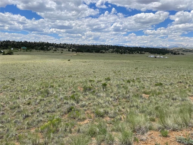 853 La Plata Dr, Hartsel, CO 80449 - photo 10