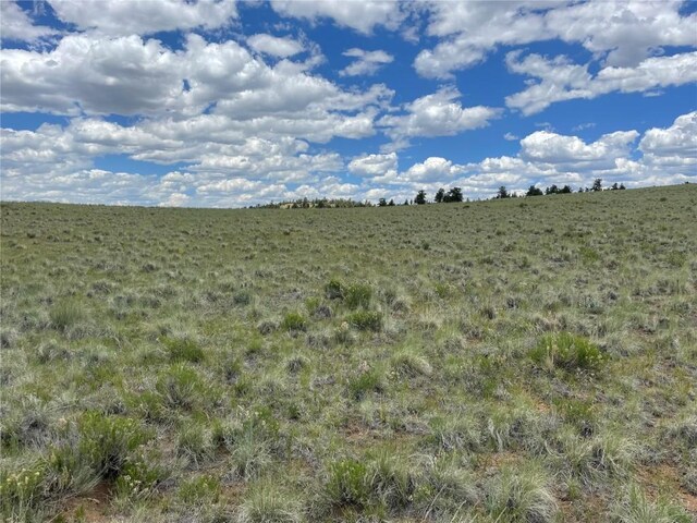 853 La Plata Dr, Hartsel, CO 80449 - photo 8