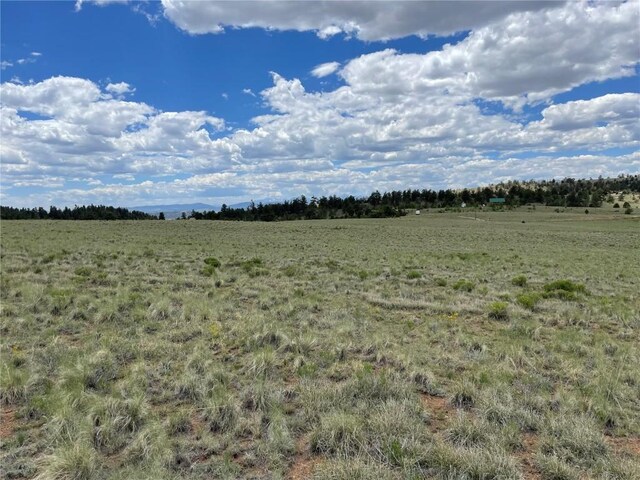 853 La Plata Dr, Hartsel, CO 80449 - photo 9