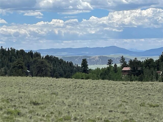 853 La Plata Dr, Hartsel, CO 80449 - photo 4