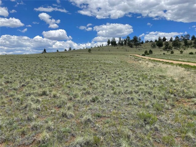 853 La Plata Dr, Hartsel, CO 80449 - photo 6