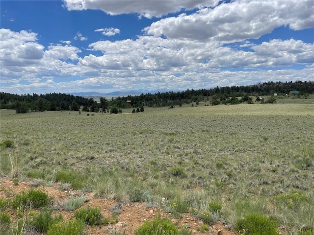 853 La Plata Dr, Hartsel, CO 80449 - photo 15