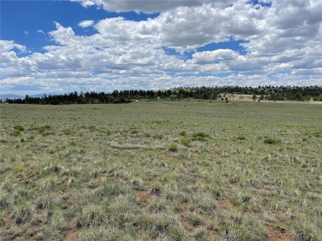 853 La Plata Dr, Hartsel, CO 80449 - photo 11