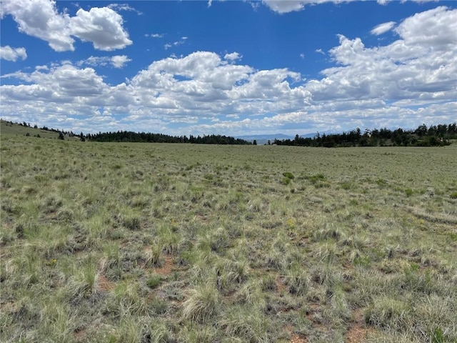853 La Plata Dr, Hartsel, CO 80449 - photo 7