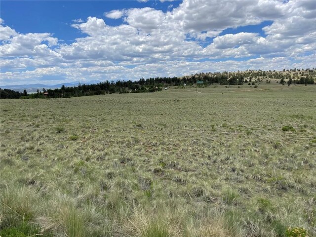 853 La Plata Dr, Hartsel, CO 80449 - photo 13