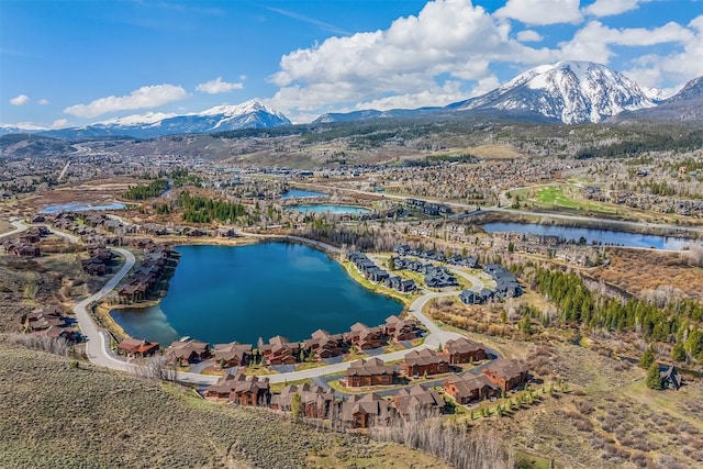 468 Fly Line Dr, Silverthorne, CO 80498 - photo 39