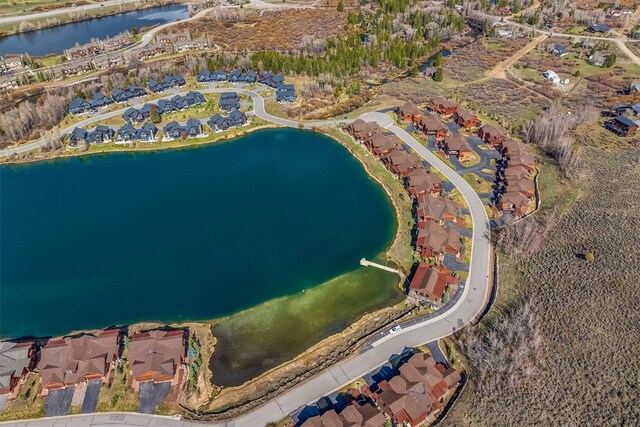 468 Fly Line Dr, Silverthorne, CO 80498 - photo 45